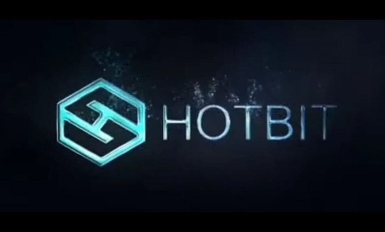 آموزش کار با صرافی هات بیت